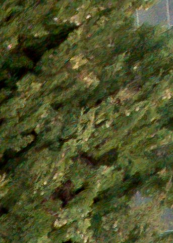 Benalmadena t 1d 02 12