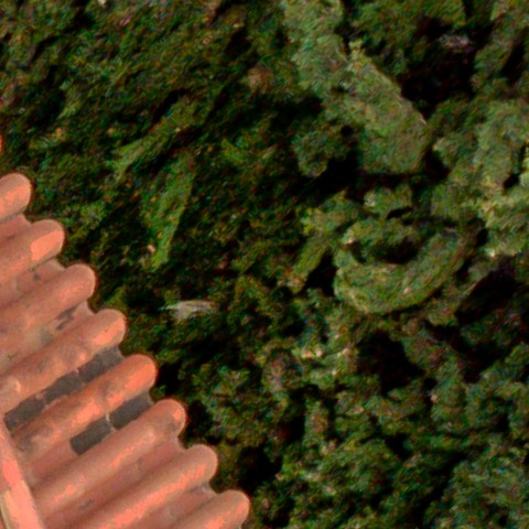 Benalmadena t 1d 03 10