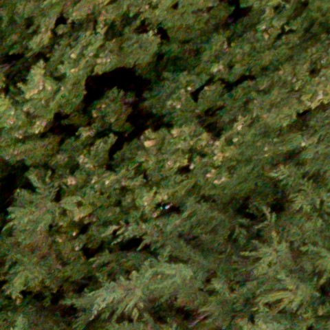 Benalmadena t 1d 03 11