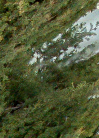 Benalmadena t 1d 03 12