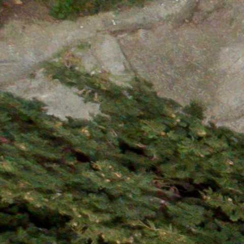 Benalmadena t 1d 04 01