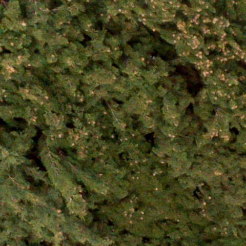 Benalmadena t 1d 04 03