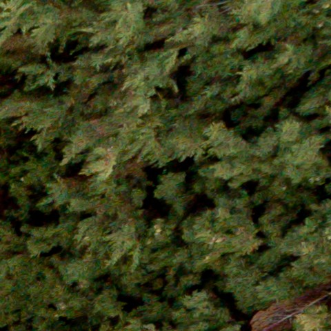 Benalmadena t 1d 04 11