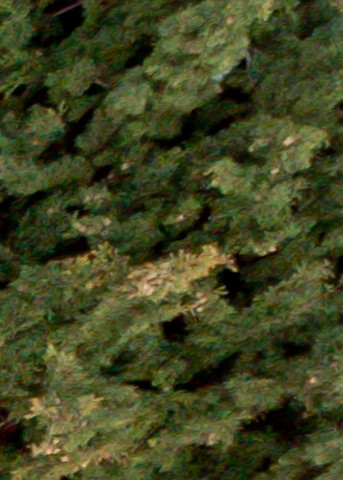 Benalmadena t 1d 04 12