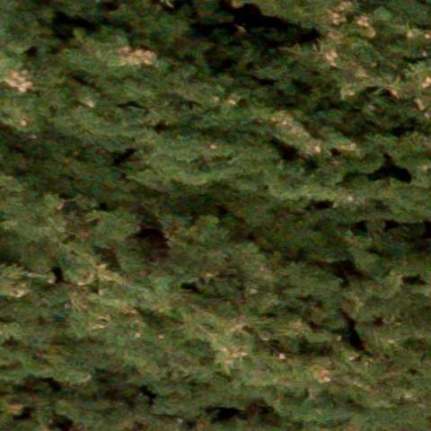 Benalmadena t 1d 05 01