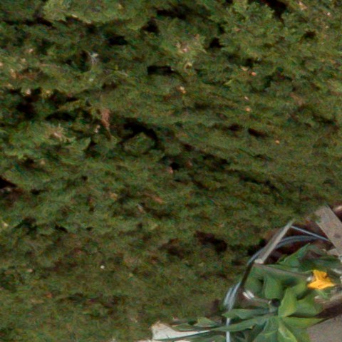 Benalmadena t 1d 05 02