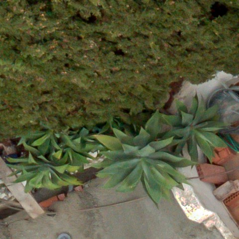 Benalmadena t 1d 05 03