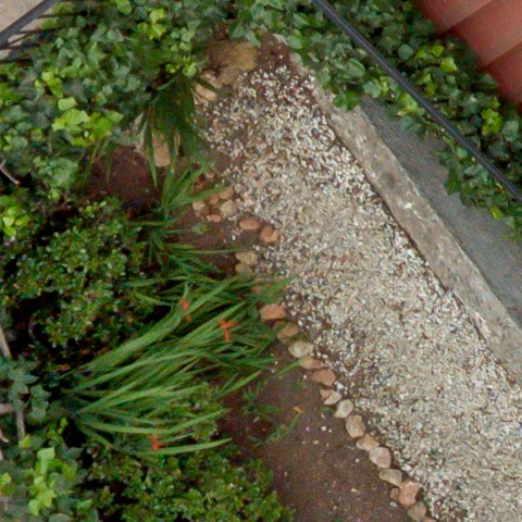 Benalmadena t 1d 07 04