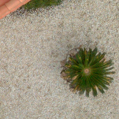 Benalmadena t 1d 07 08