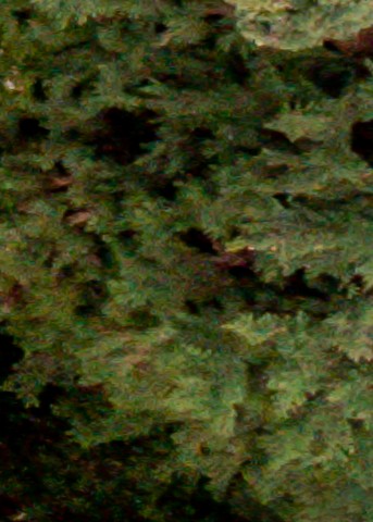 Benalmadena t 1d 07 12