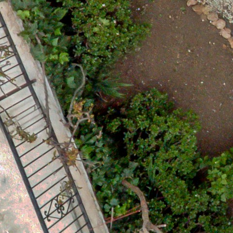 Benalmadena t 1d 08 04