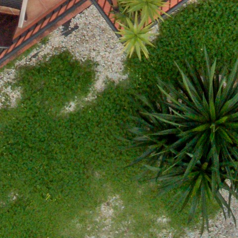 Benalmadena t 1d 08 06