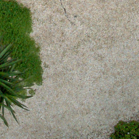 Benalmadena t 1d 08 07