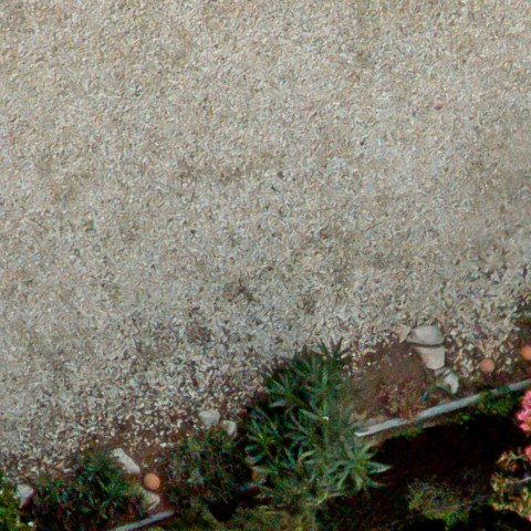 Benalmadena t 1d 08 08