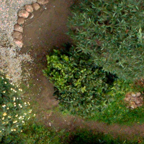 Benalmadena t 1d 08 10