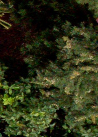 Benalmadena t 1d 08 12