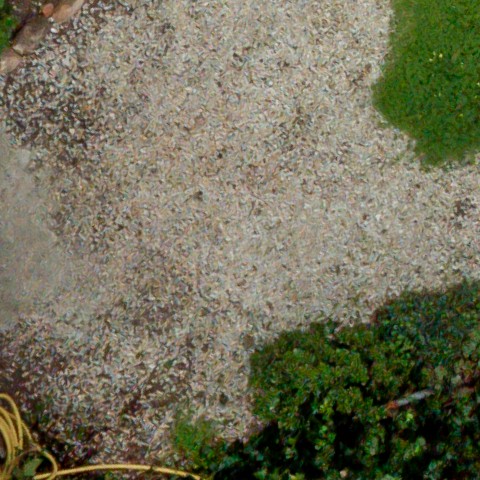 Benalmadena t 1d 09 05