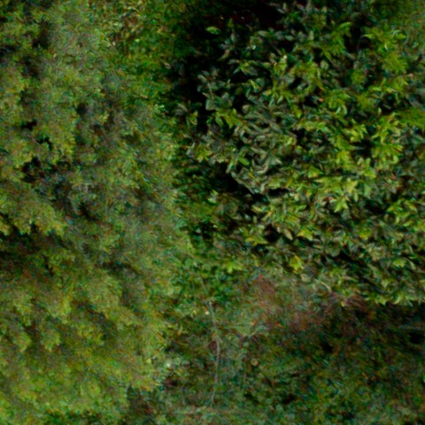 Benalmadena t 1d 09 10