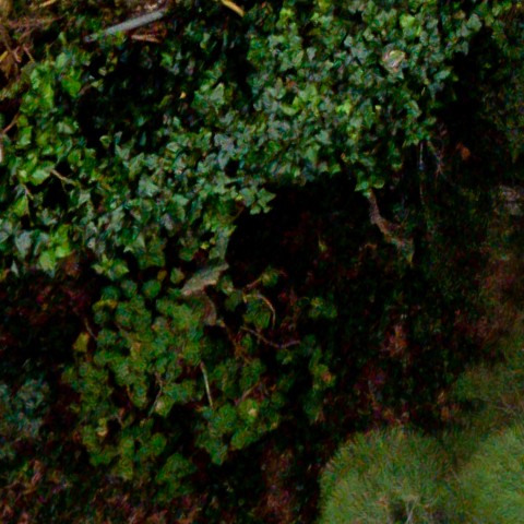 Benalmadena t 1d 10 05