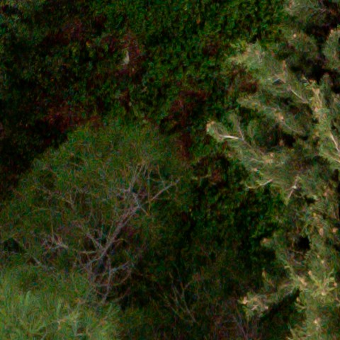 Benalmadena t 1d 10 06