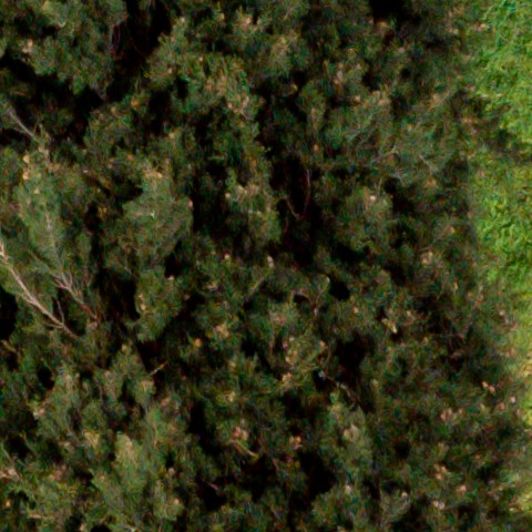 Benalmadena t 1d 10 07