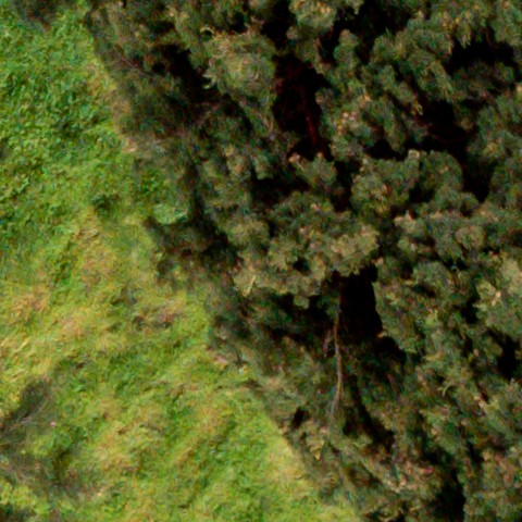 Benalmadena t 1d 10 08