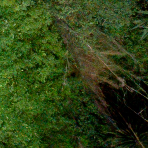 Benalmadena t 1d 10 10