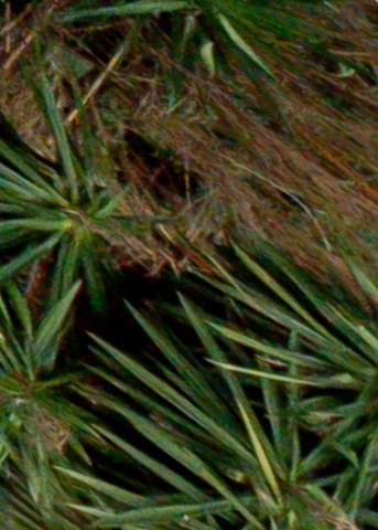 Benalmadena t 1d 10 12