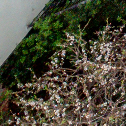 Benalmadena t 1d 11 03