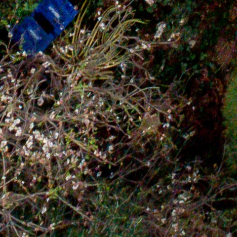 Benalmadena t 1d 11 04