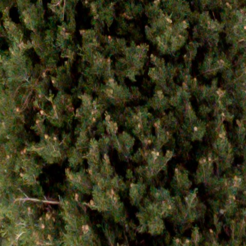 Benalmadena t 1d 11 07