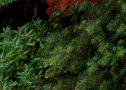 Benalmadena t 1d 12 01