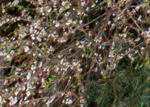 Benalmadena t 1d 12 03