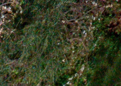 Benalmadena t 1d 12 04