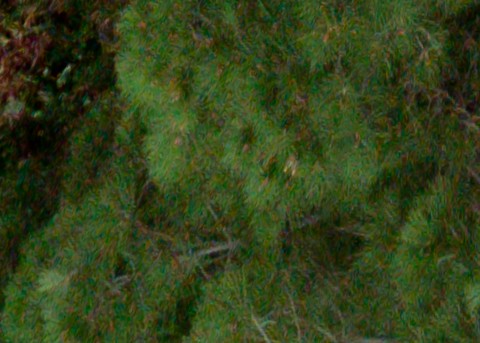 Benalmadena t 1d 12 05