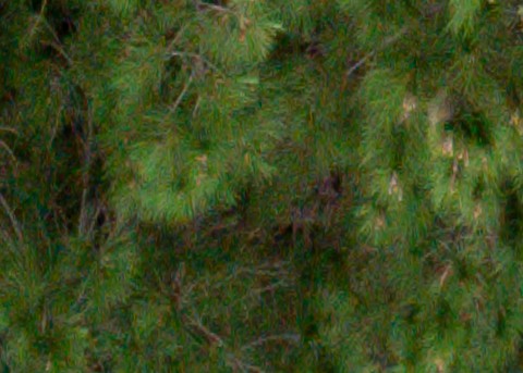 Benalmadena t 1d 12 06