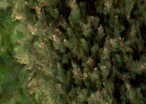 Benalmadena t 1d 12 07