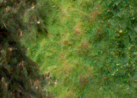 Benalmadena t 1d 12 08