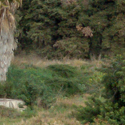 Benalmadena t 1f 06 09