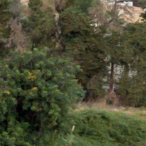 Benalmadena t 1f 06 10