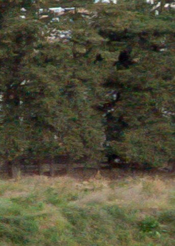 Benalmadena t 1f 06 12