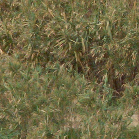 Benalmadena t 1f 07 01