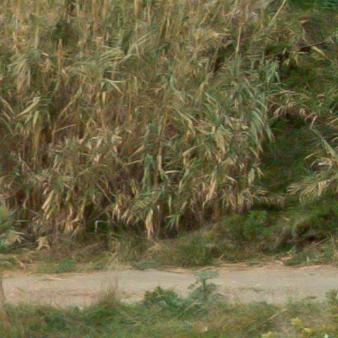 Benalmadena t 1f 07 02