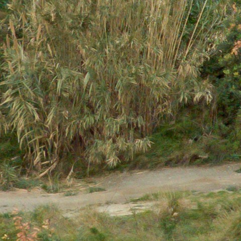 Benalmadena t 1f 07 03