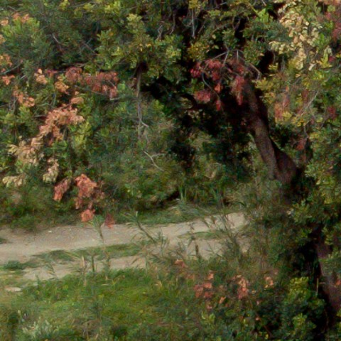 Benalmadena t 1f 07 04