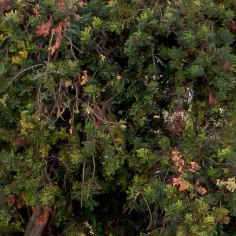 Benalmadena t 1f 07 05