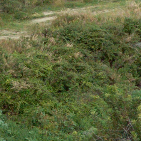 Benalmadena t 1f 07 08