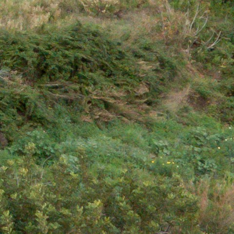 Benalmadena t 1f 07 09