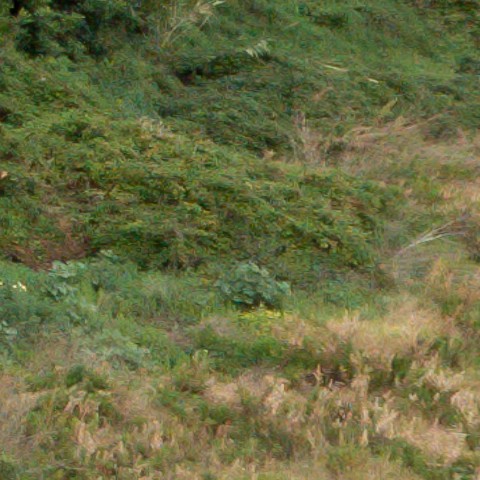 Benalmadena t 1f 07 10