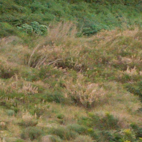 Benalmadena t 1f 07 11